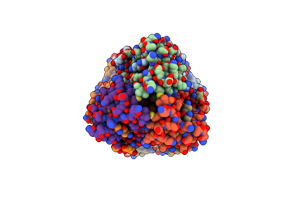 6D8D image
