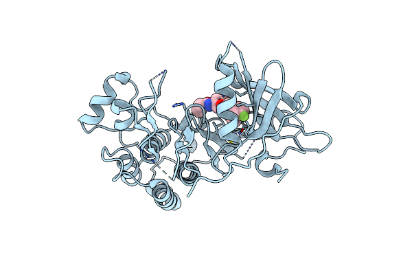 6D8E image