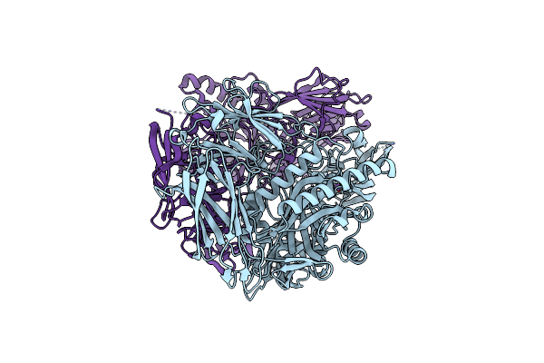 6D8G image