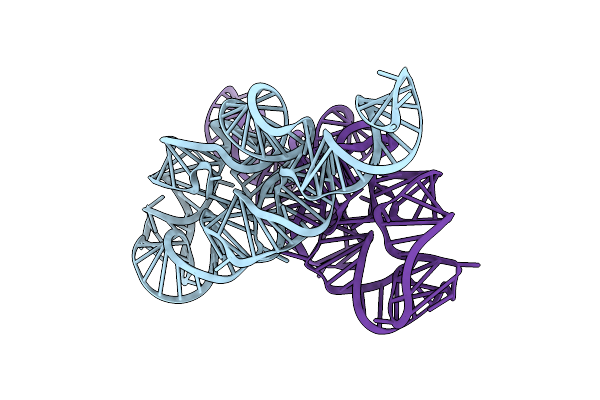 6D8M image