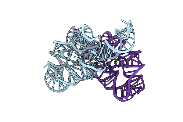 6D8N image