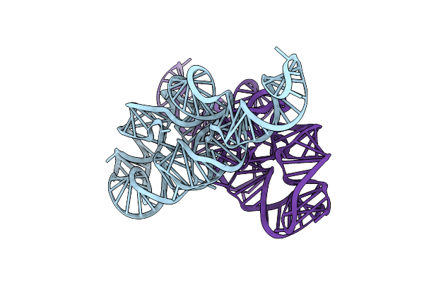 6D8O image