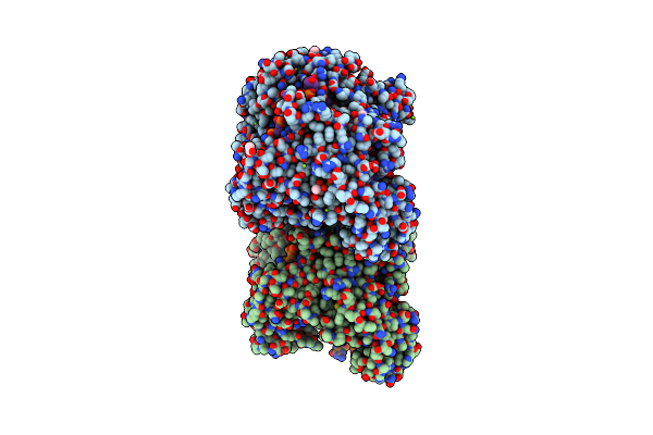6D8P image