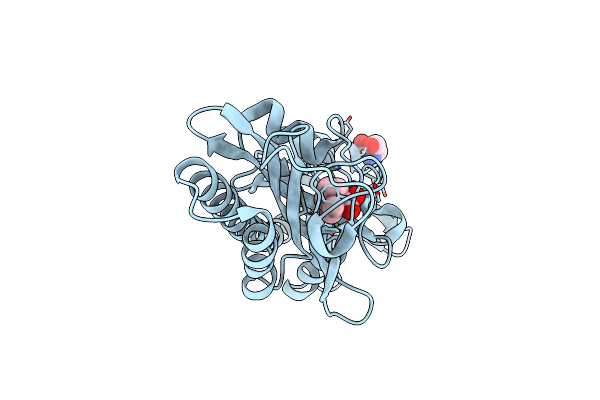 6D8V image