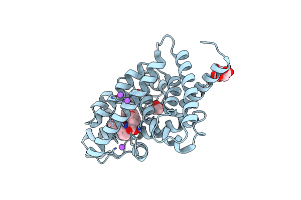 6D8X image