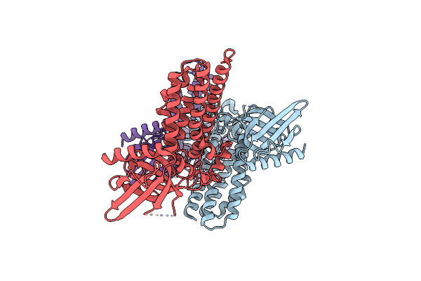 6D8Z image