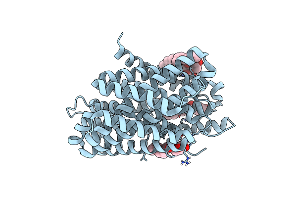 6D91 image