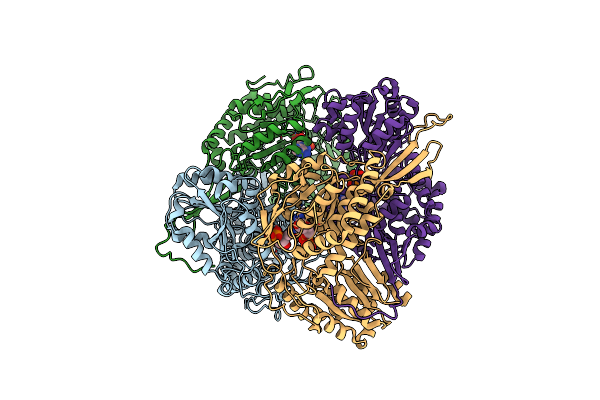 6D97 image