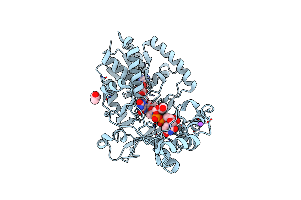 6D9A image