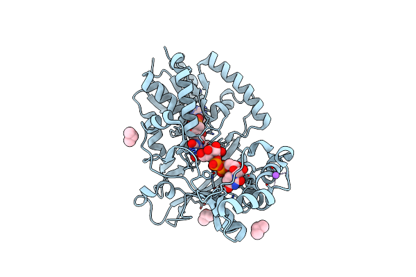 6D9B image