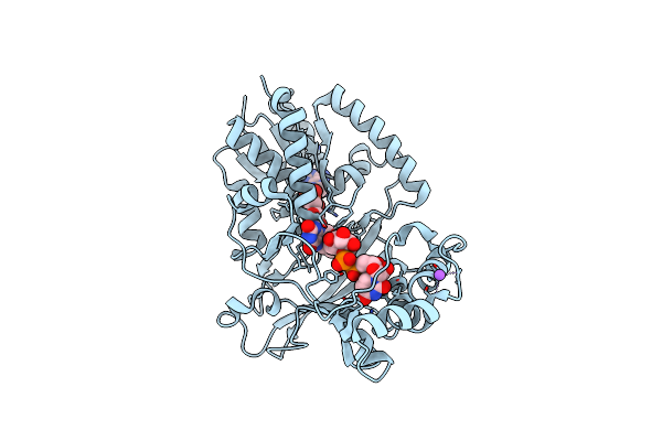 6D9C image