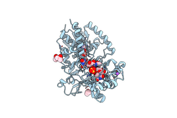 6D9E image