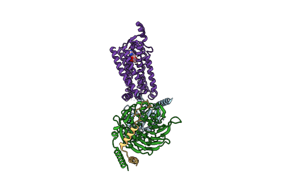 6D9H image