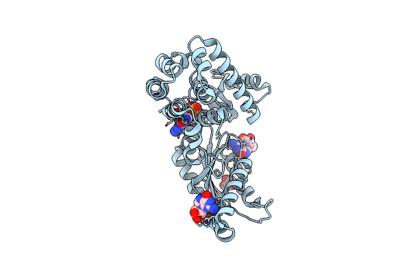 6D9M image