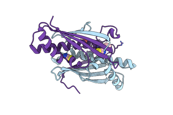 6D9N image