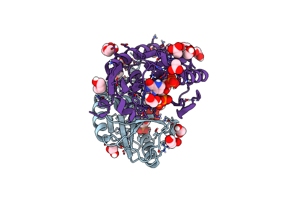 6D9R image