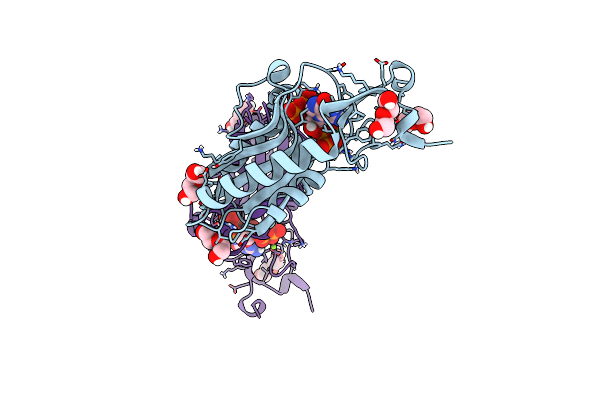 6D9S image