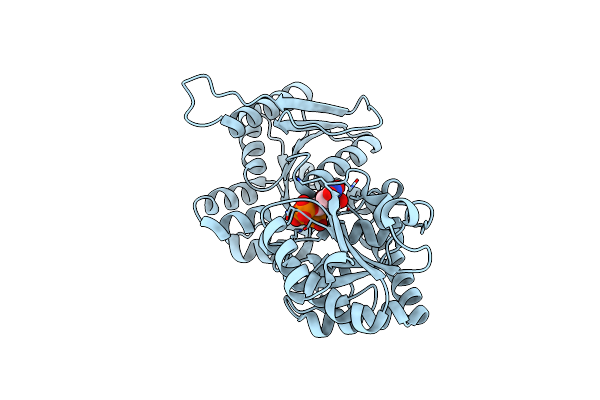 6D9T image