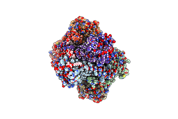 6D9Z image