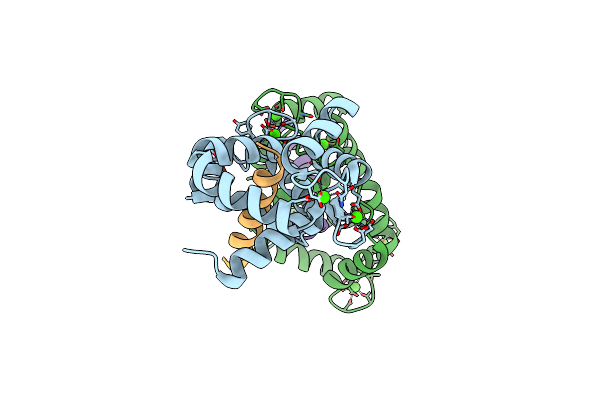 6DAF image