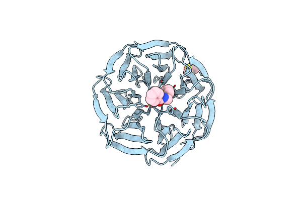 6DAK image