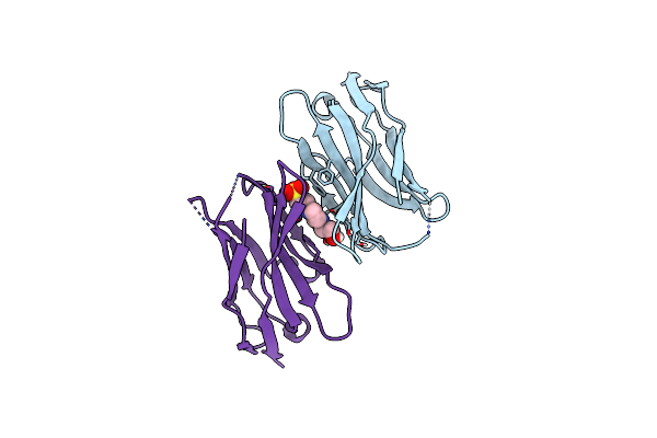 6DBE image