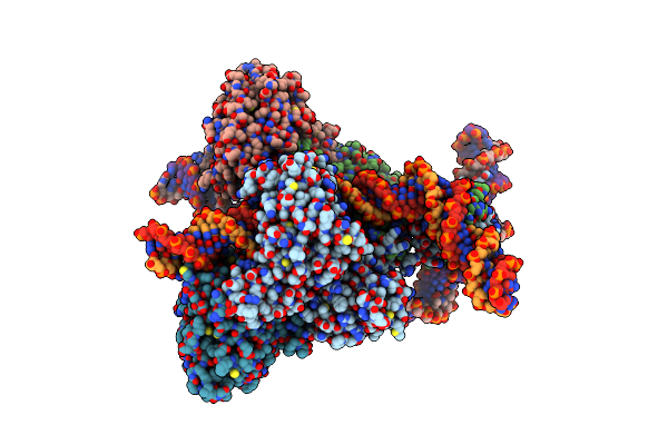 6DBL image