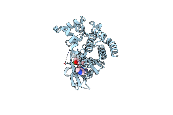 6DBM image