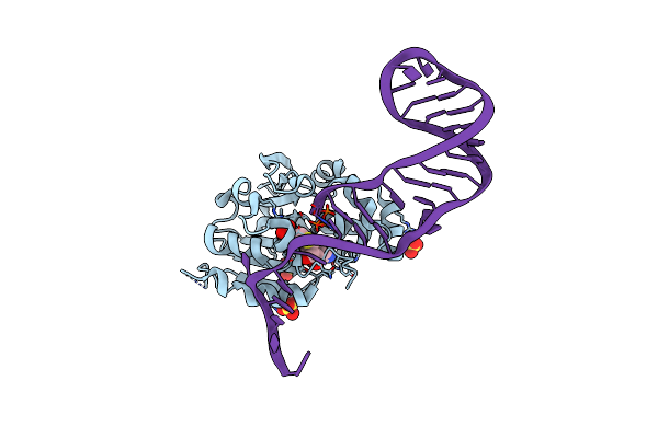 6DCB image