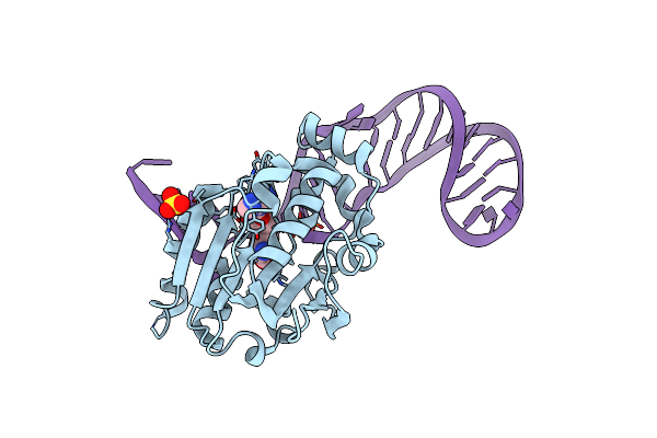 6DCC image
