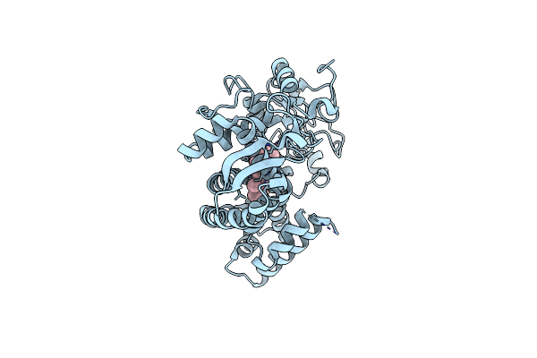 6DCD image