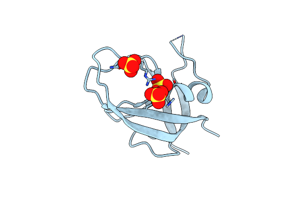 6DCE image