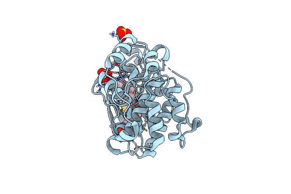 6DCG image