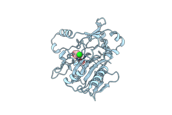 6DCH image