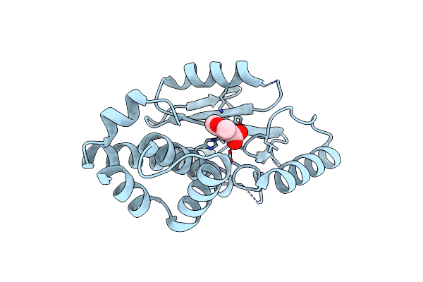 6DCY image