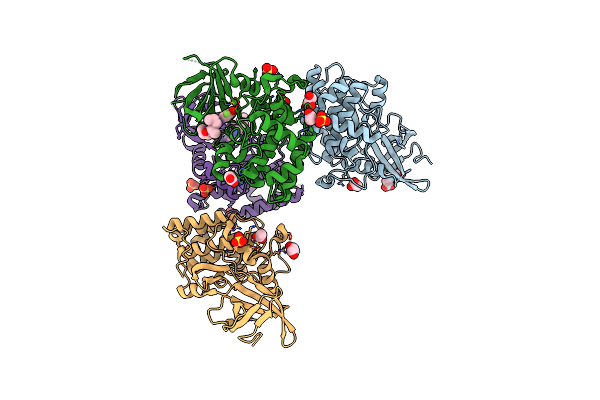 6DD4 image