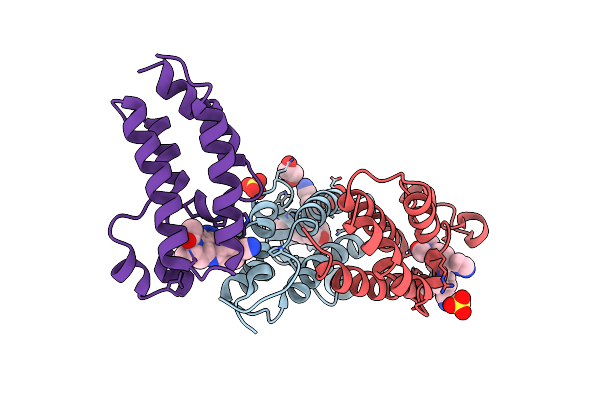 6DDI image