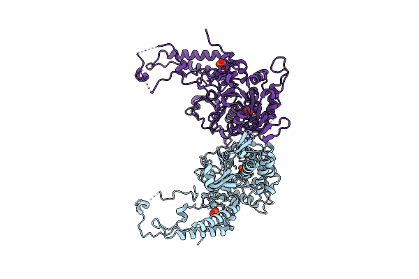 6DDO image