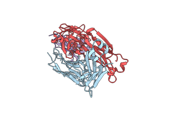6DDV image