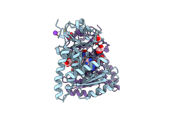 6DEB image