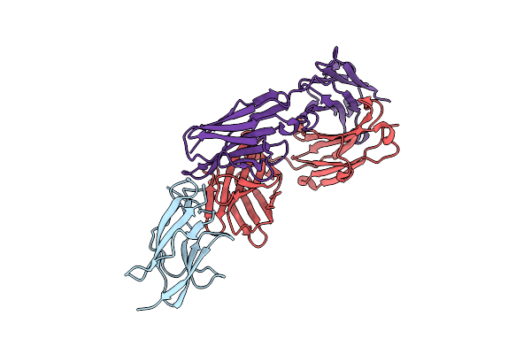 6DFI image