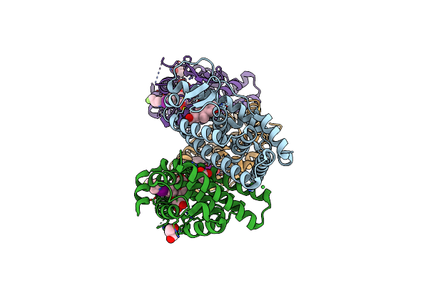 6DFN image