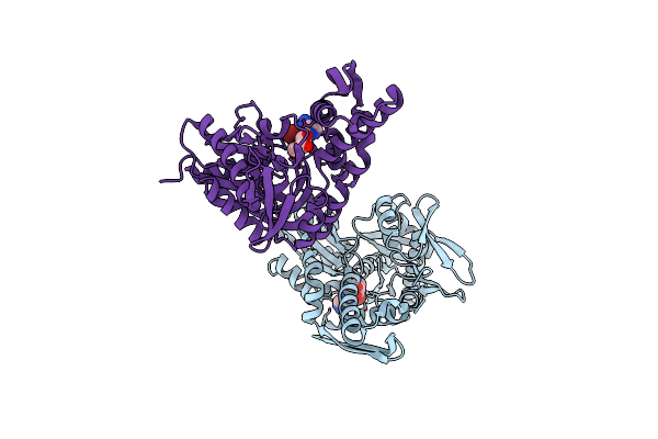 6DFO image
