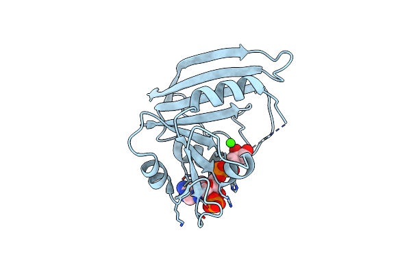 6DFR image