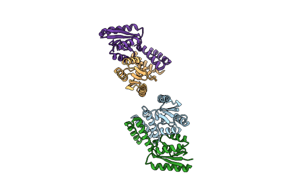 6DGC image