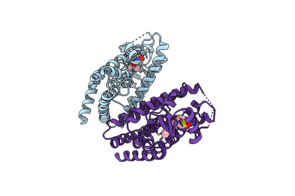 6DGL image