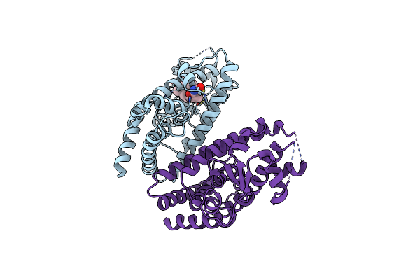 6DGO image
