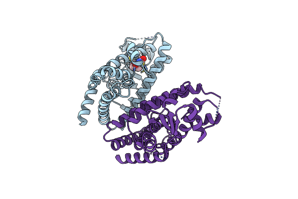 6DGR image