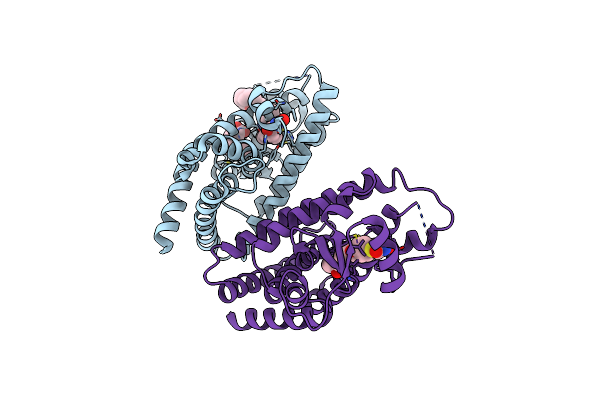 6DHA image