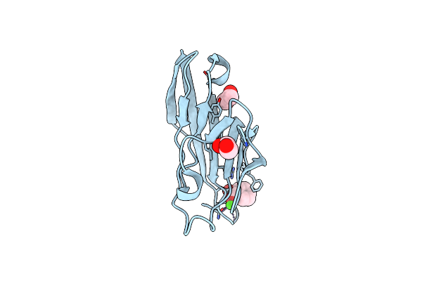 6DHB image